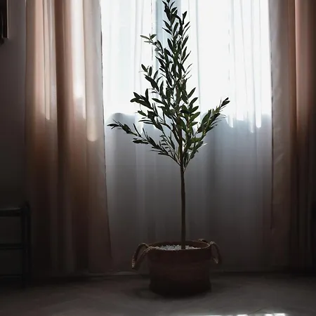 Miling Vendeghaz 度假居