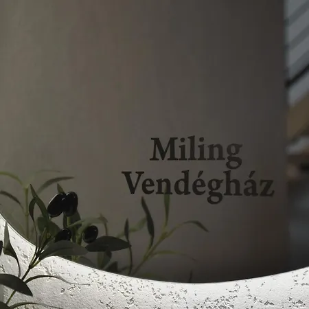 Feriehus Miling Vendeghaz Foeldes
